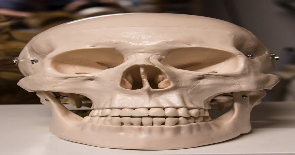 cranio-sacrale Therapie
